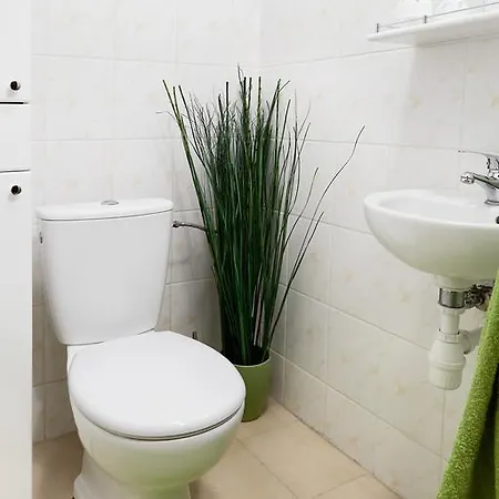 Lovely Garden Flat Near Royal Park